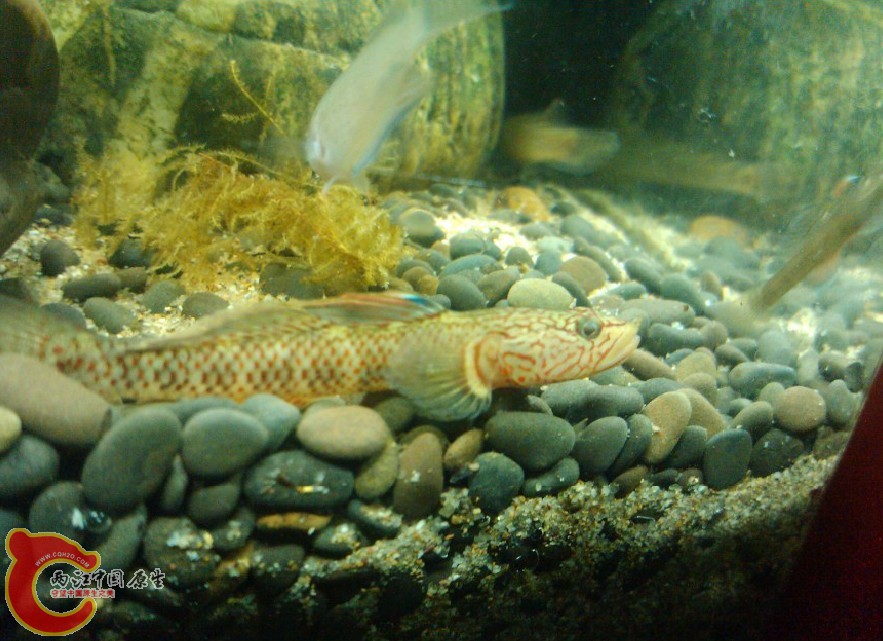 HJLQQB(]4IEF~I~7WPJ`H1M.jpg
