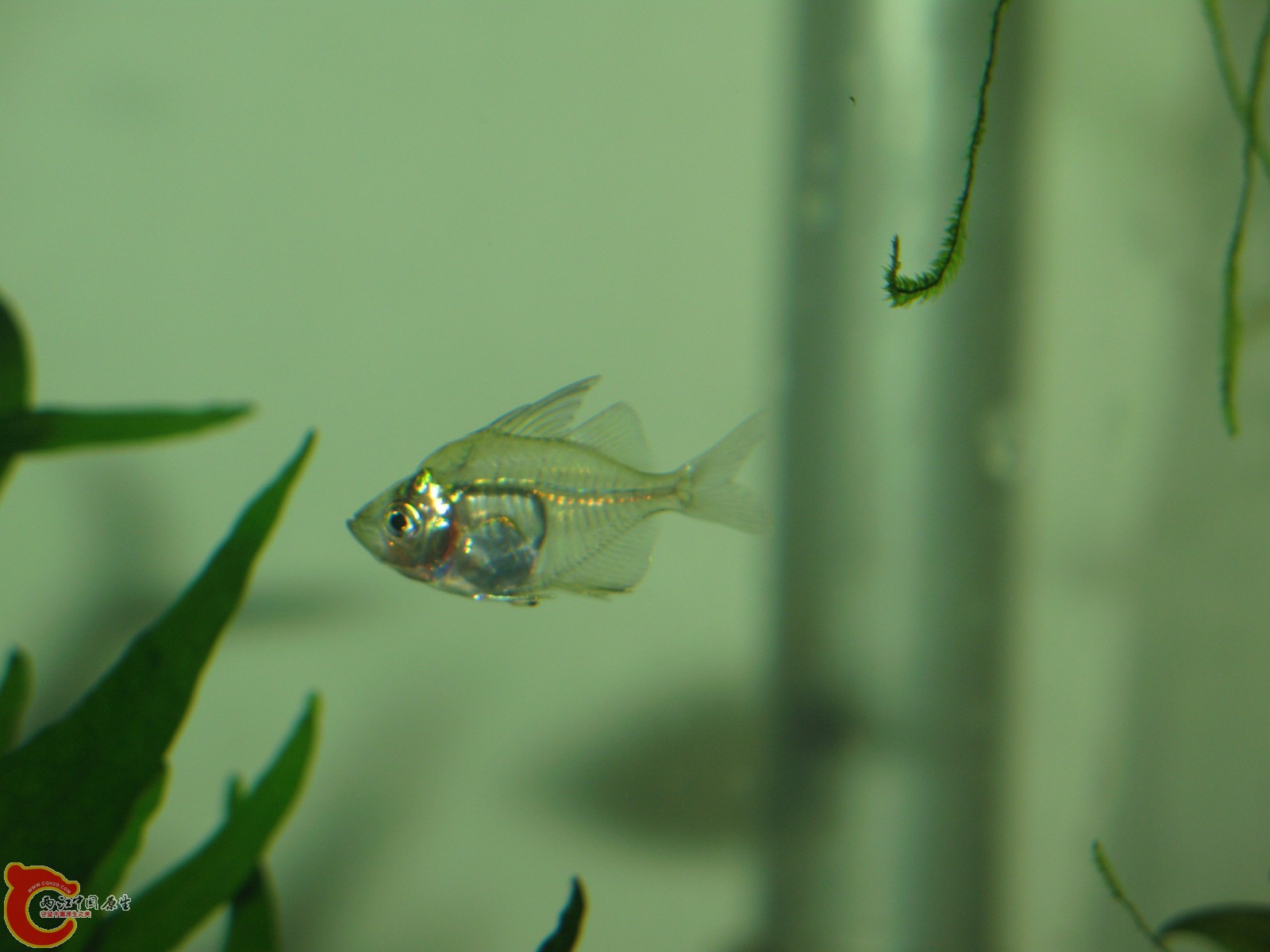IMG_8650.JPG