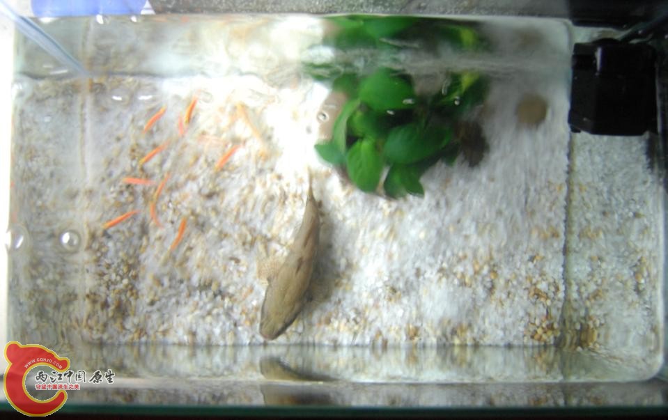 20120805203943.JPG