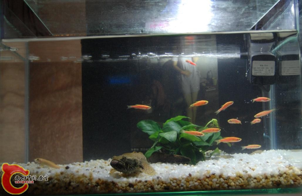 20120805204317.JPG
