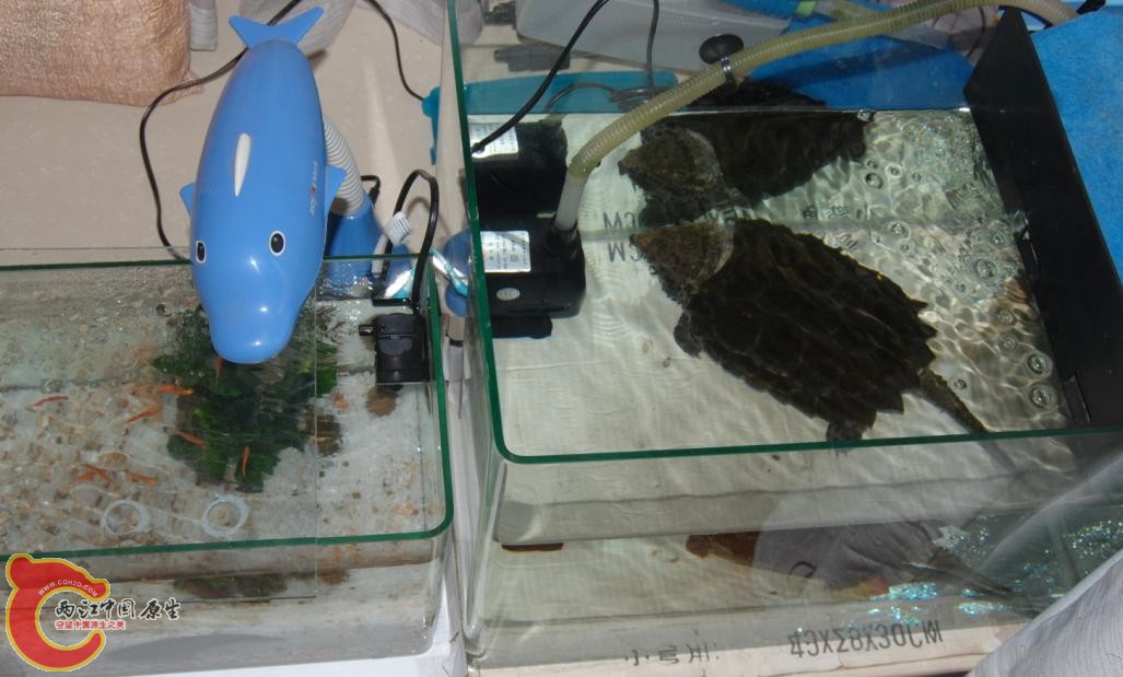 20120805204228.JPG