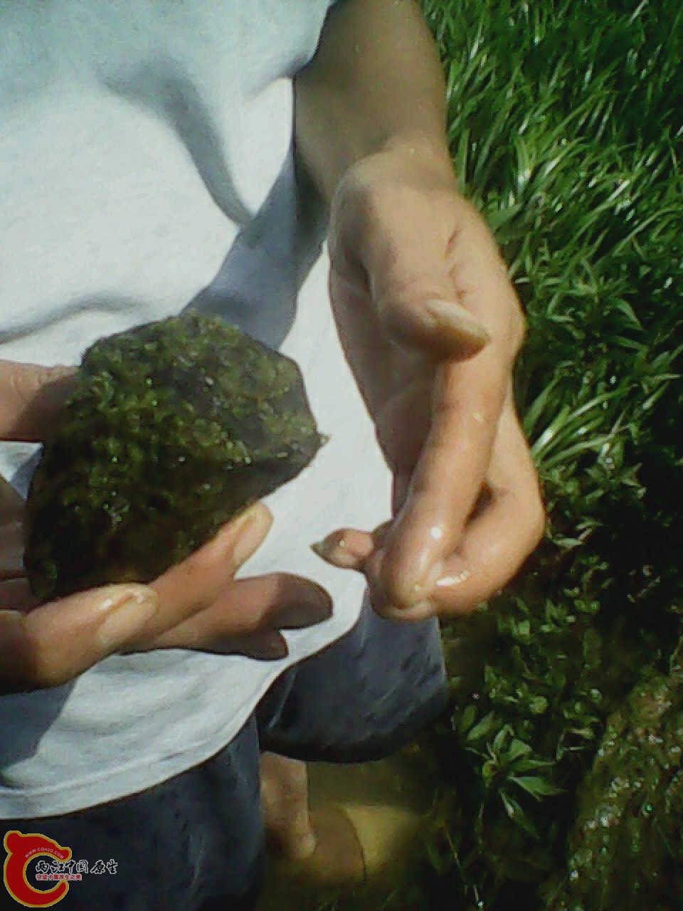 img0804_161717466.jpg