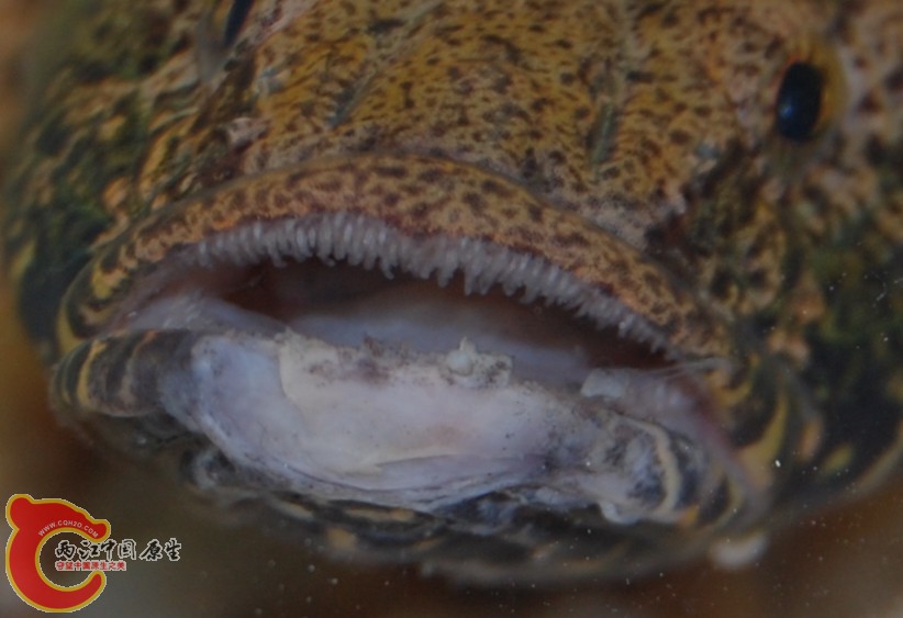 DSC_0887_副本.jpg