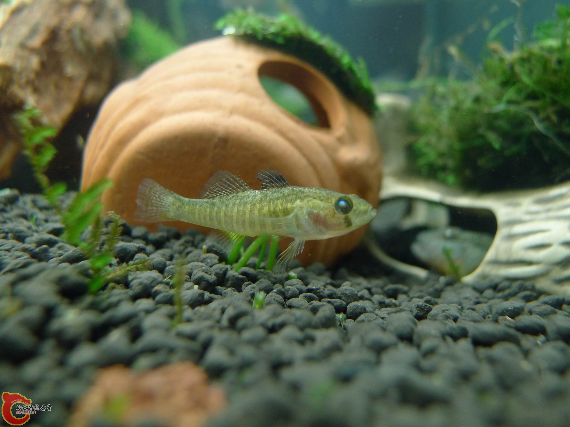 2012 022.jpg