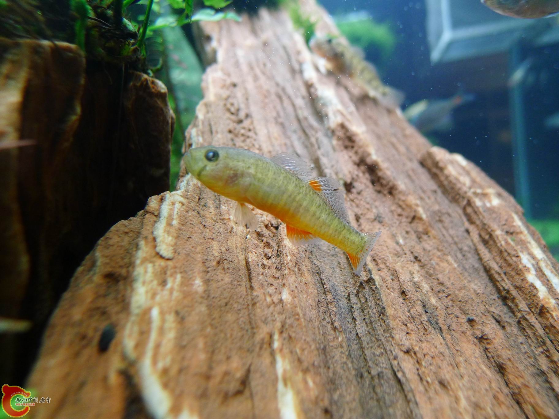2012 042.jpg