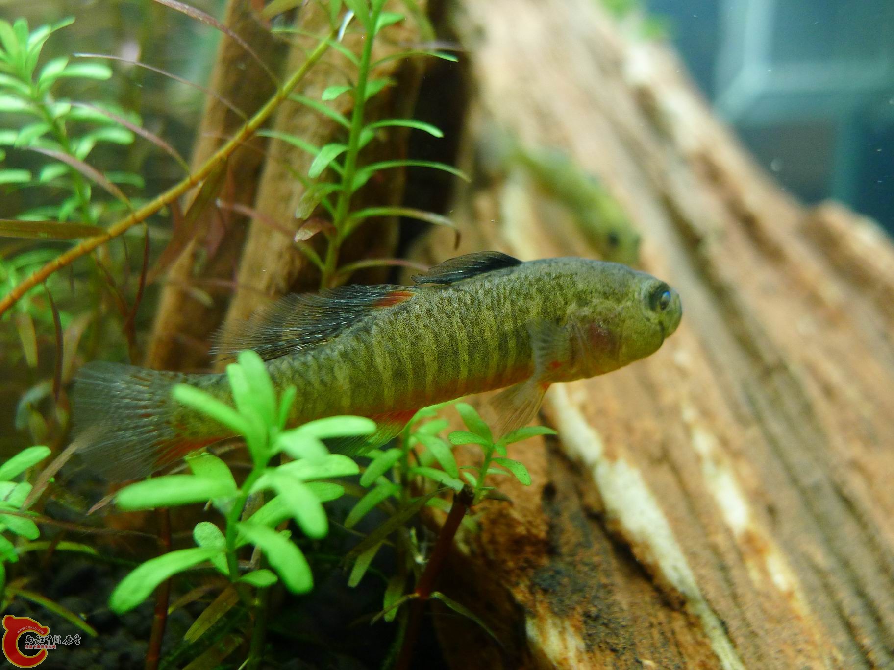 2012 036.jpg
