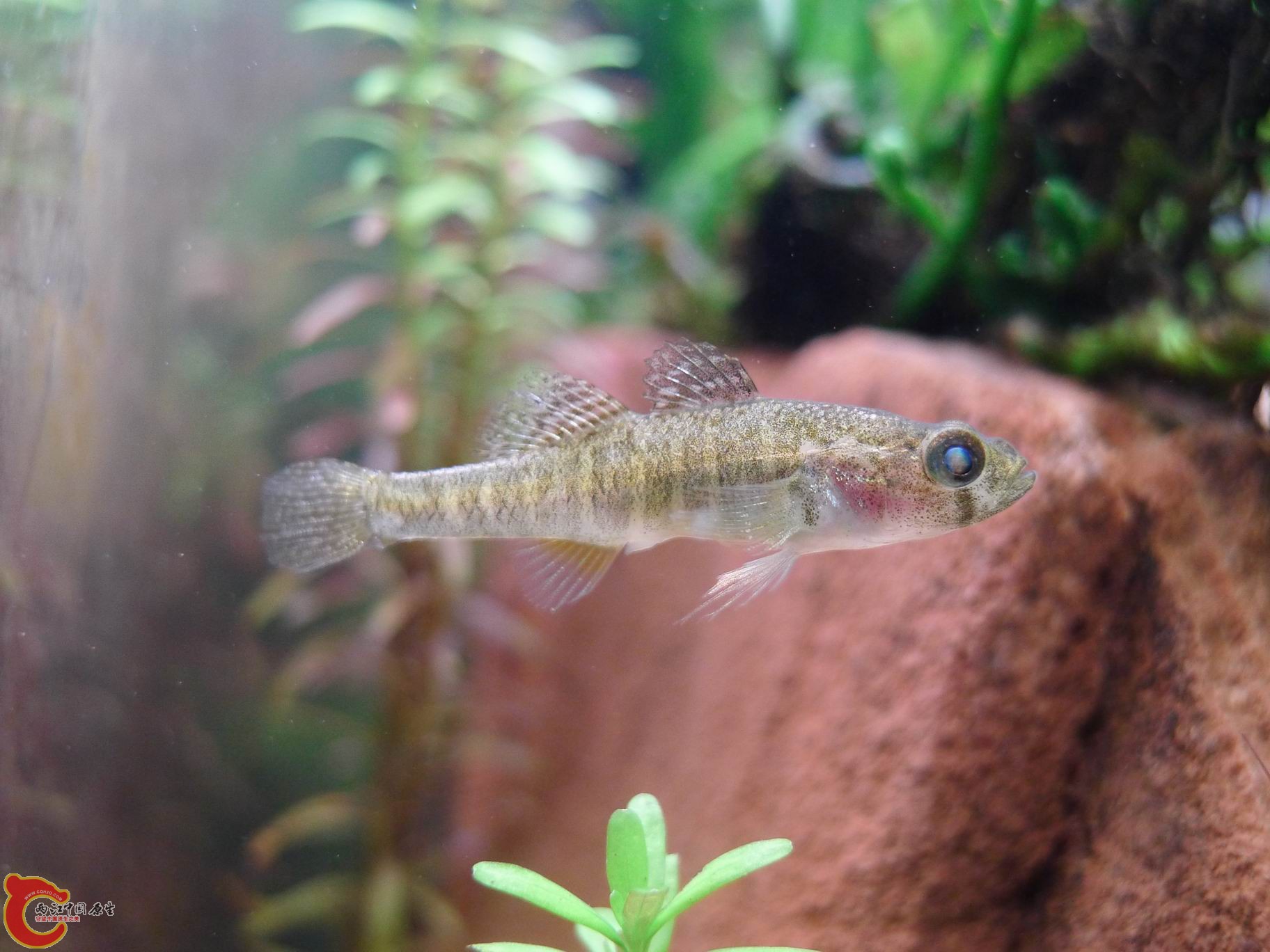 2012 048.jpg