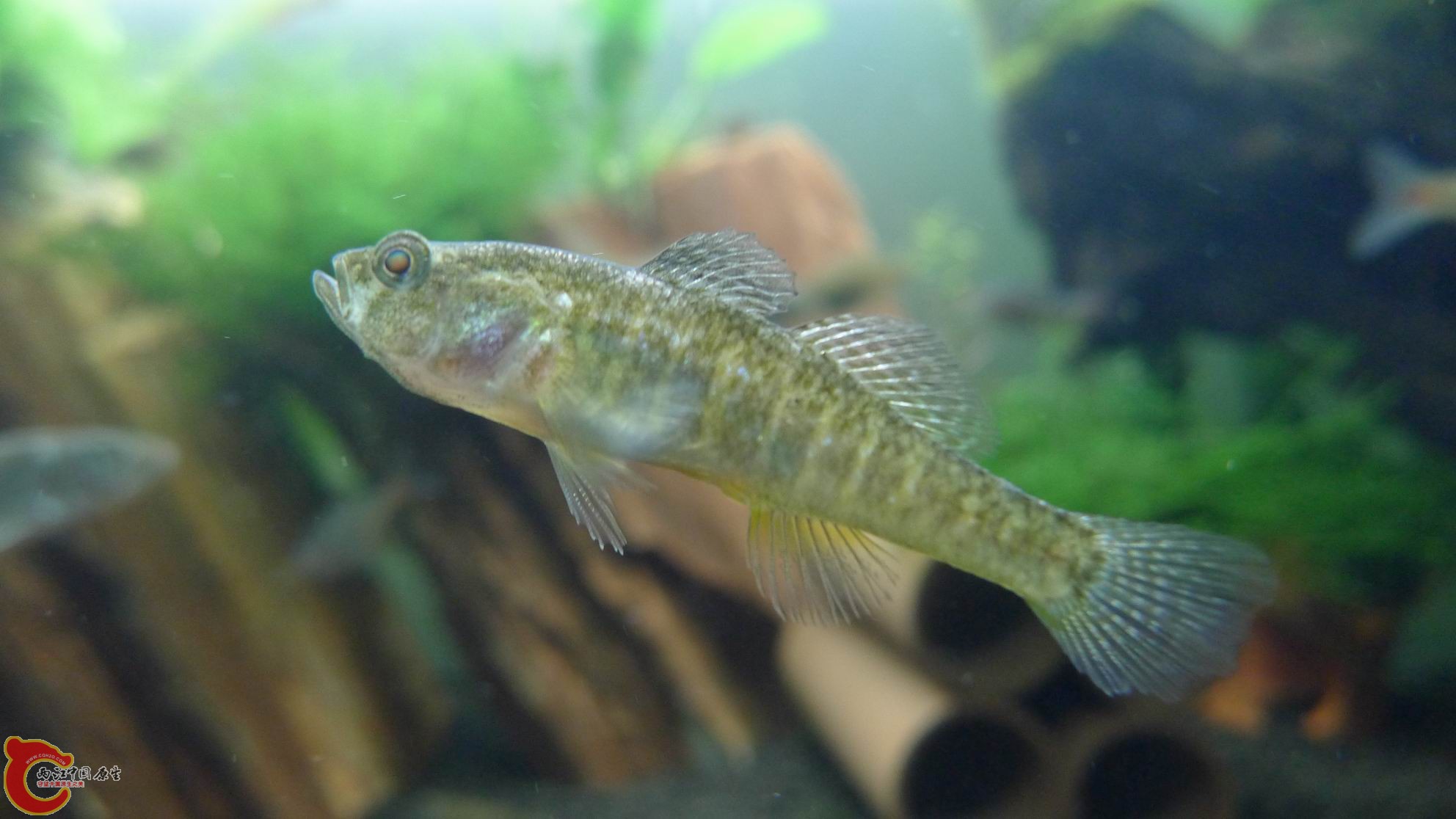 P1000259.JPG