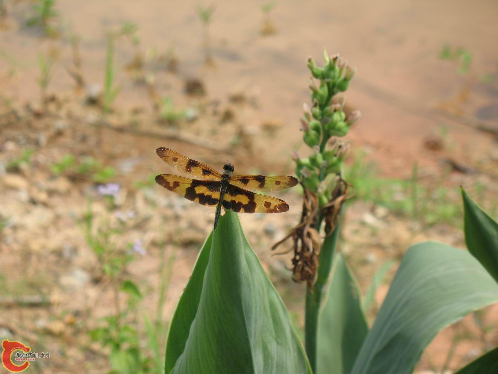 调整大小 照片 069.jpg