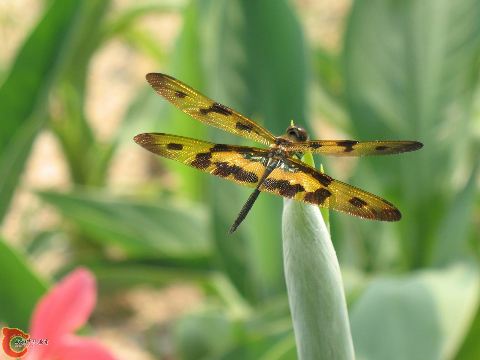 调整大小 照片 070.jpg