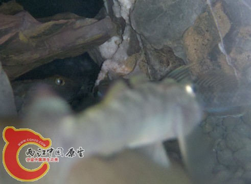 QQ截图20120810001407.jpg