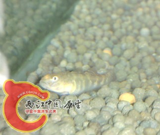 QQ截图20120810001449.jpg