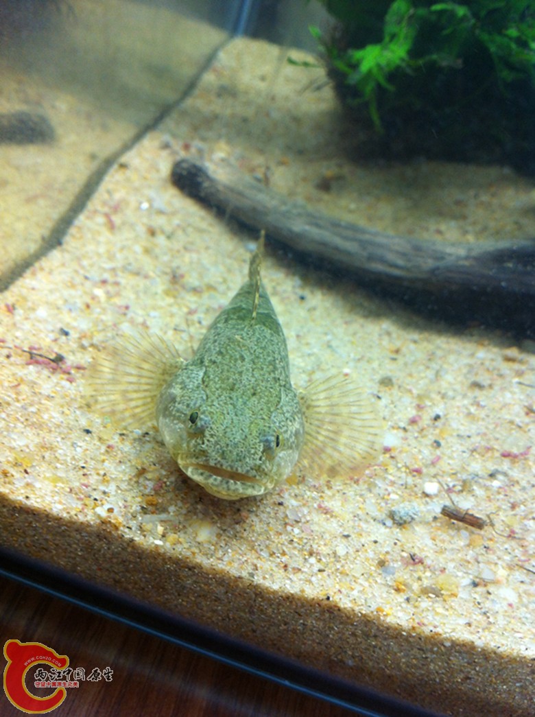 IMG_0014_副本.jpg