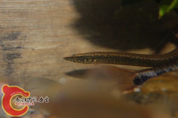 DSC_0952.jpg