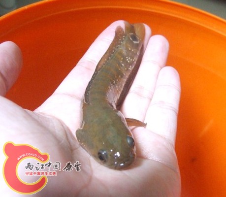 QQ截图20120813165819.jpg