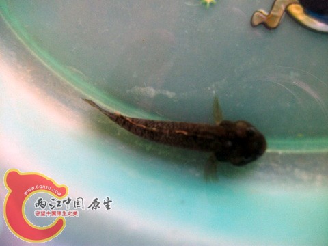 DSCF7380.JPG