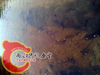 IMG_20120808_074709.jpg