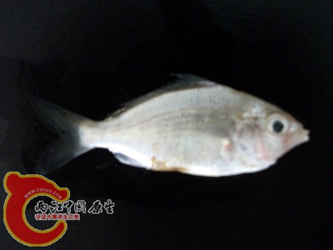 DSCF7359.JPG