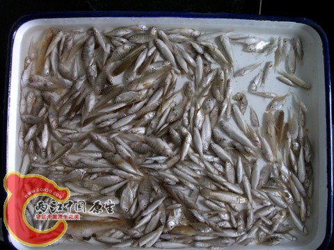 DSCF7367.JPG
