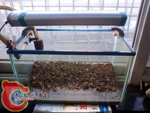原生1757_副本.jpg