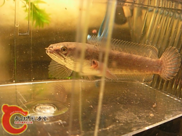 DSCN5058.JPG
