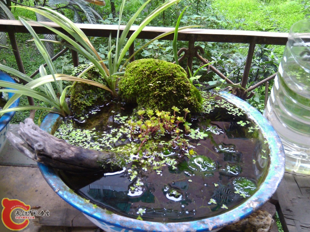 WP_000162 (2).jpg
