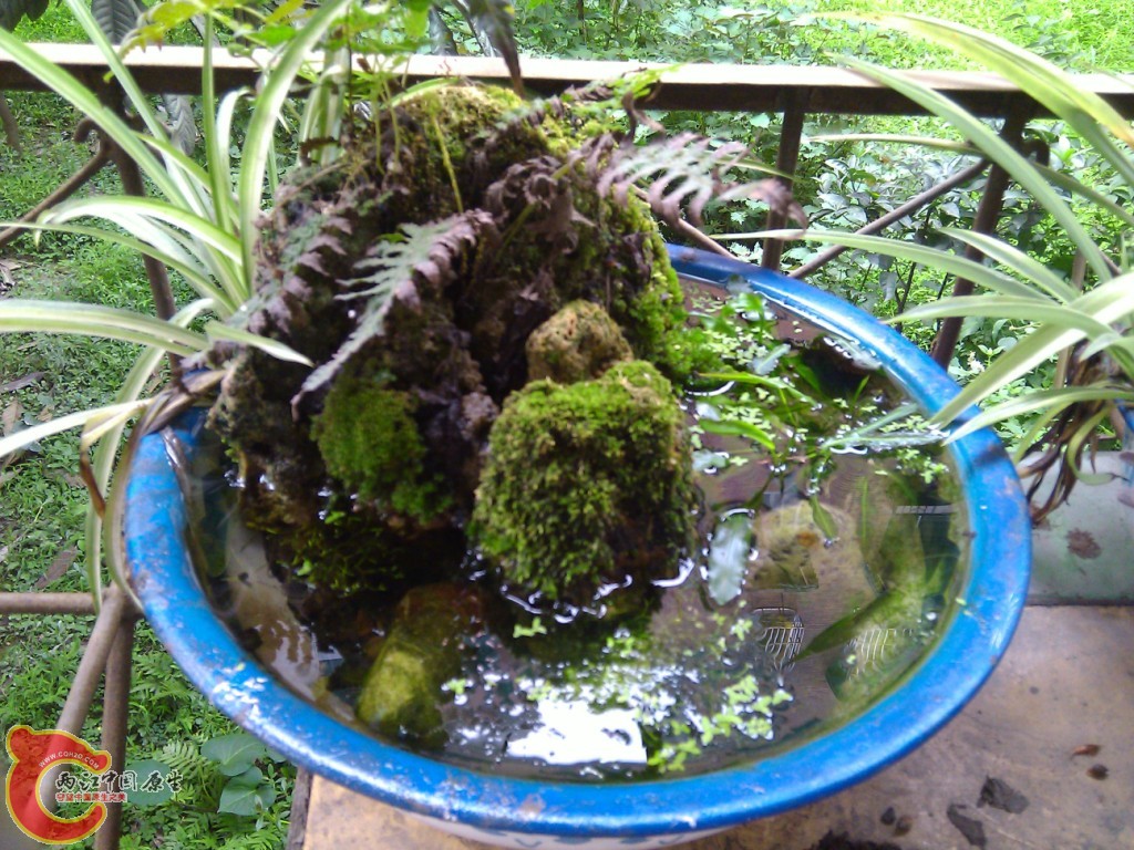 WP_000163 (2).jpg