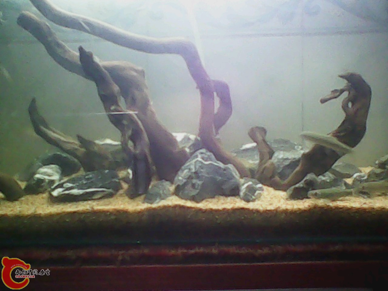 img0728_113950455.jpg