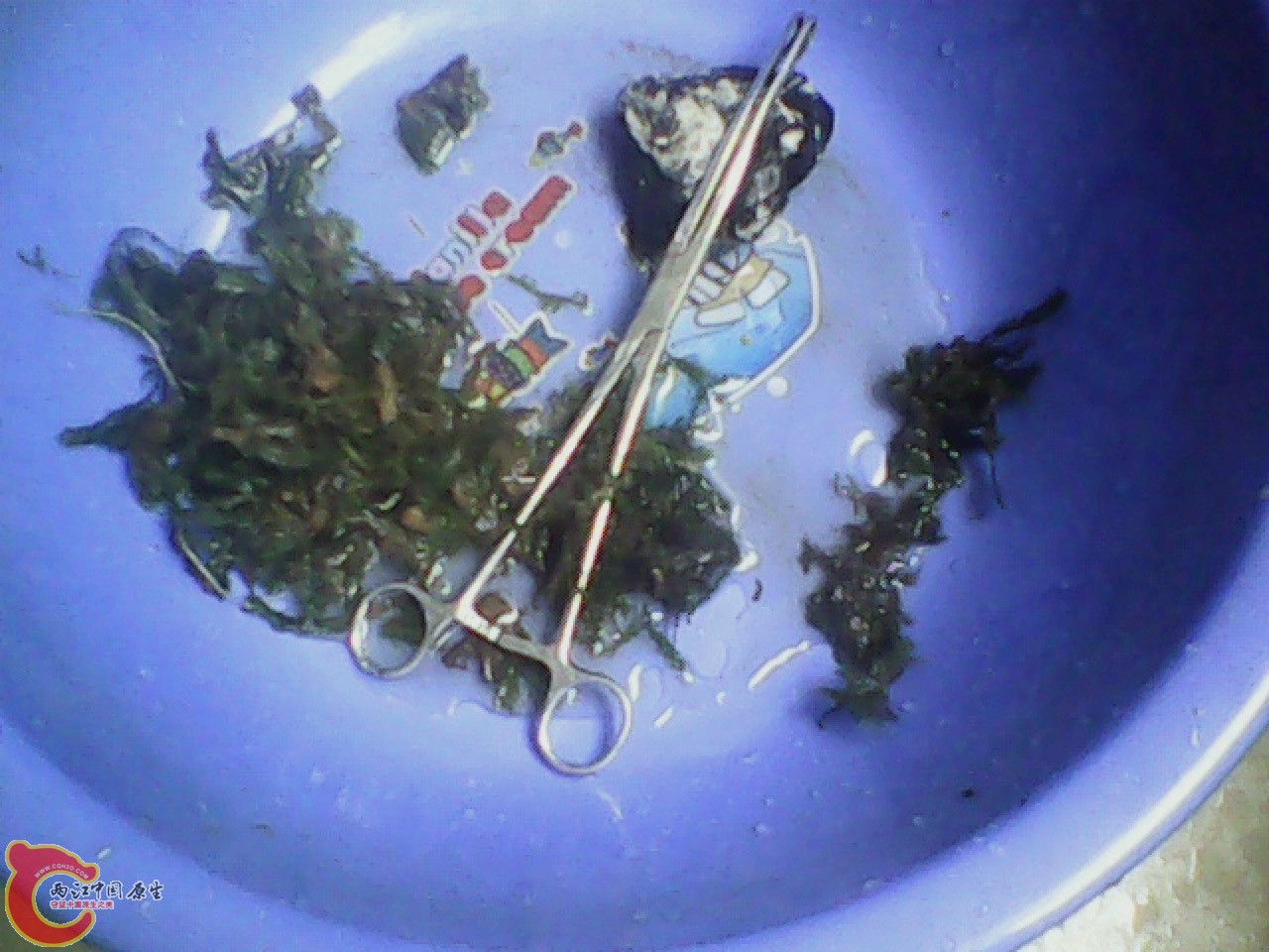 img0818_143852055.jpg