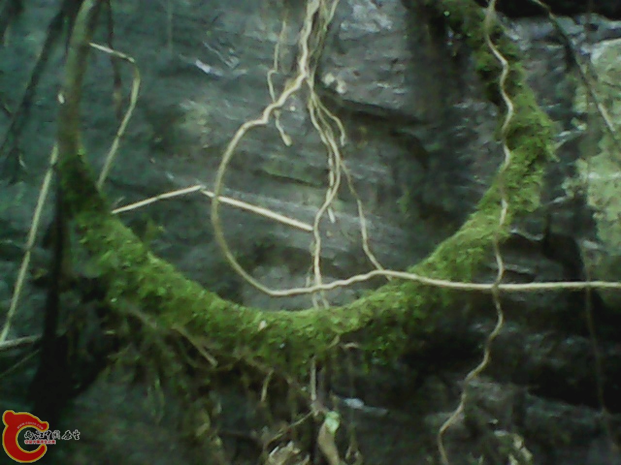 img0817_141905275.jpg