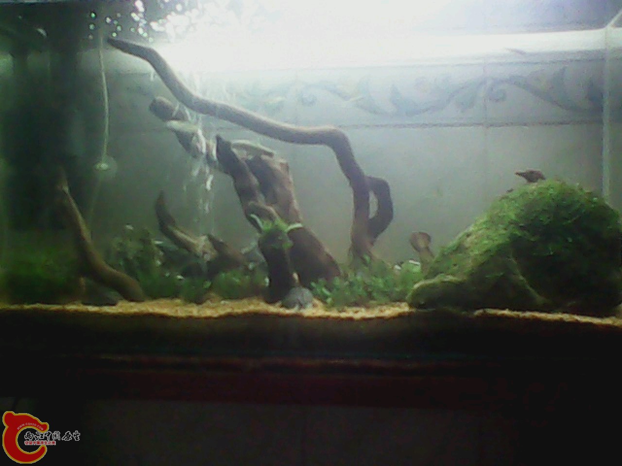 img0818_151022857.jpg