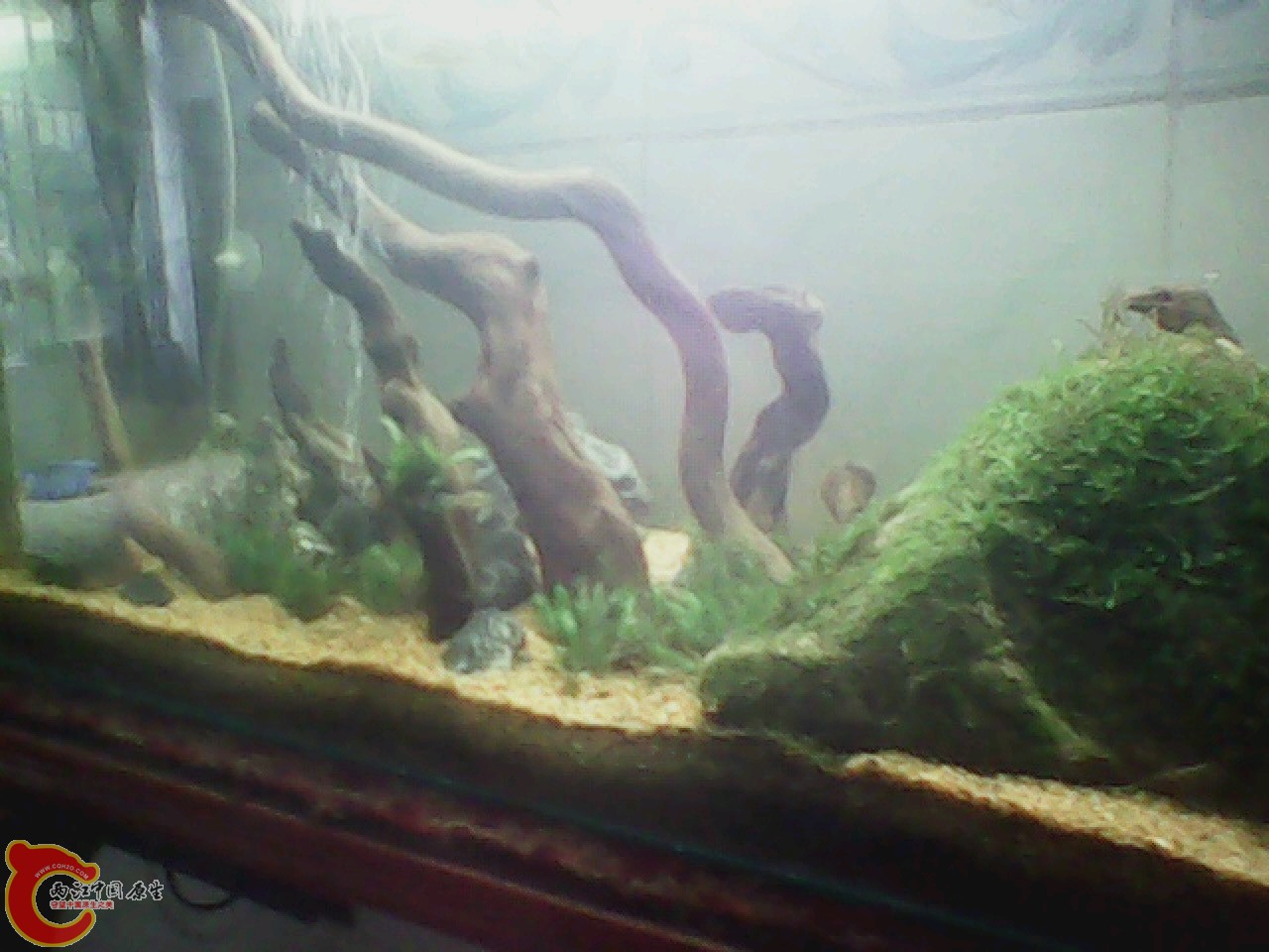 img0818_150749281.jpg