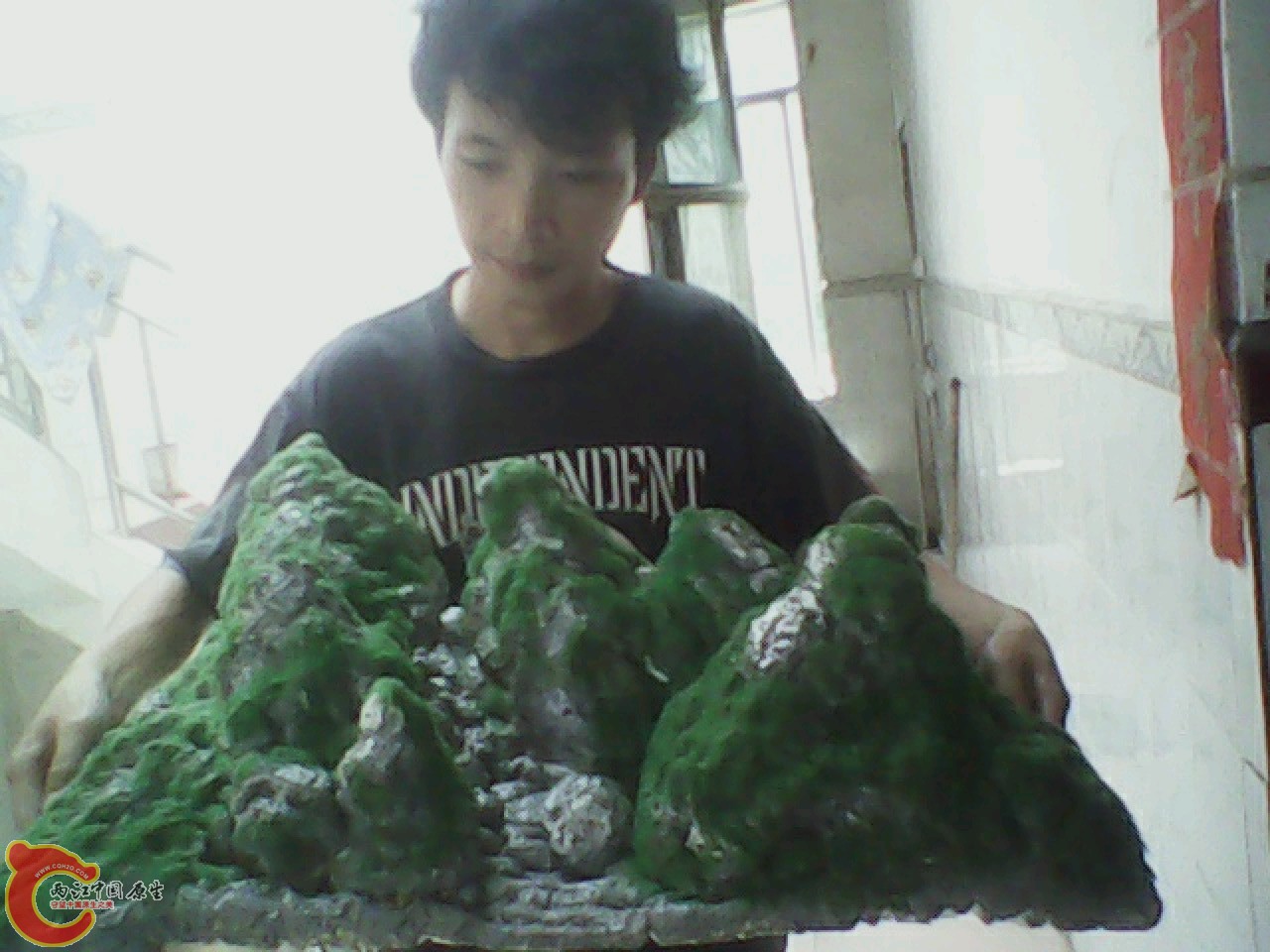 img0813_132430219.jpg