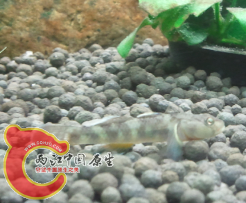 QQ截图20120821145321.png