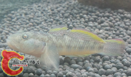 QQ截图20120821145415.png