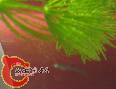 调整大小 嗯.jpg