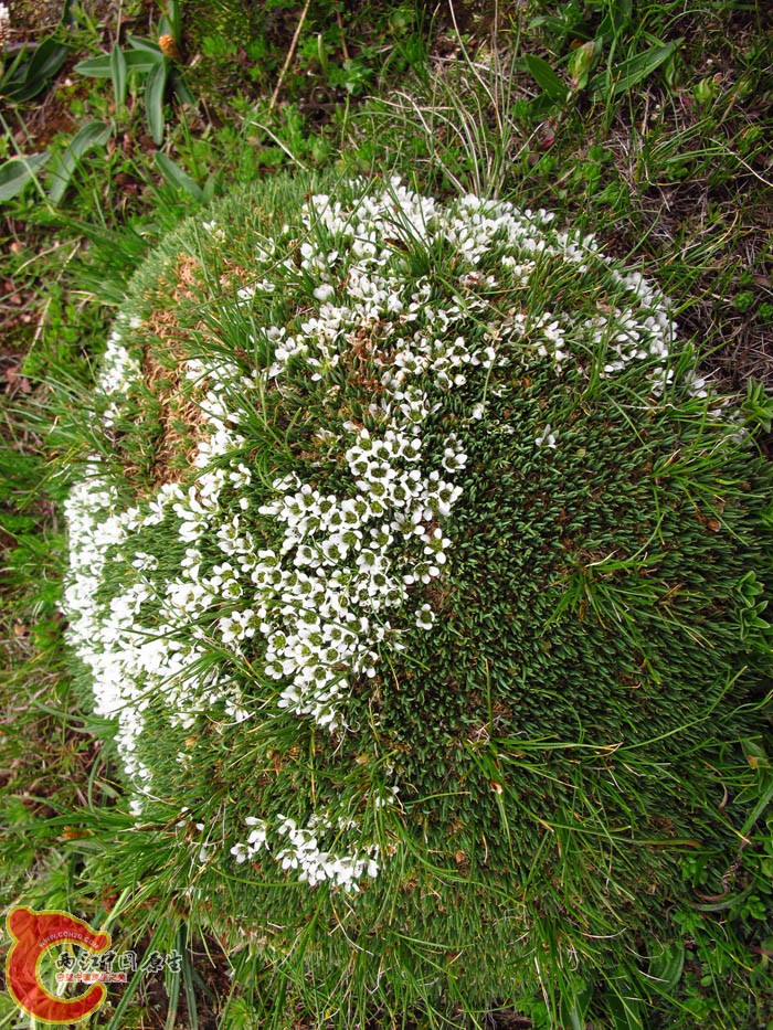 IMG_6269.jpg