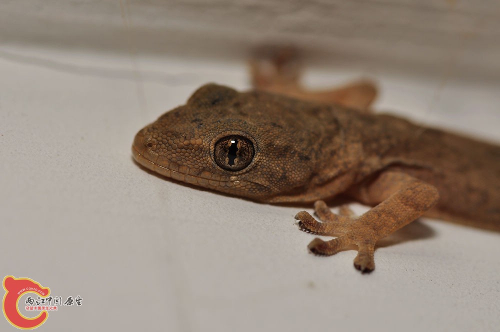 DSC_0122.jpg