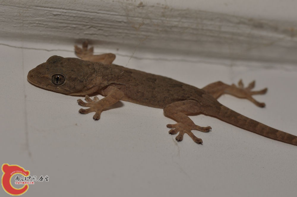 DSC_0125.jpg