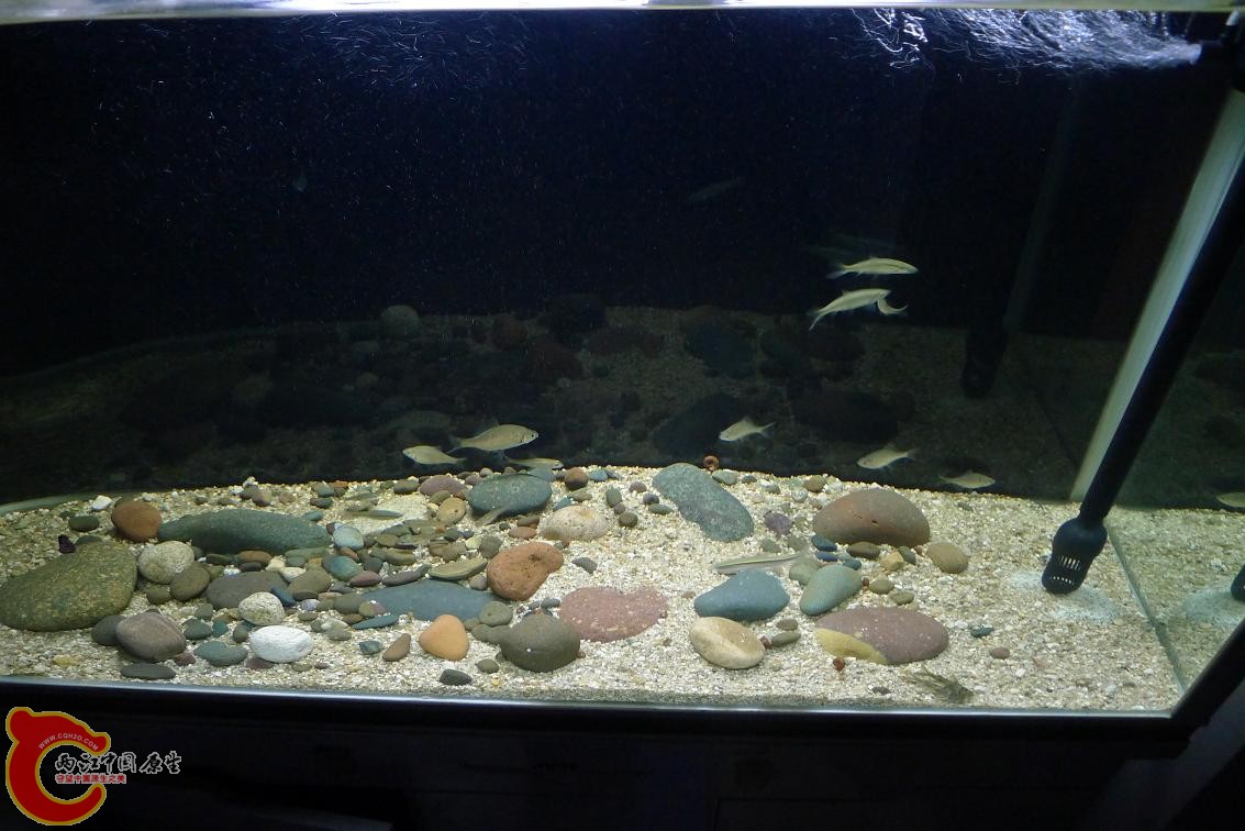 P1020512.JPG