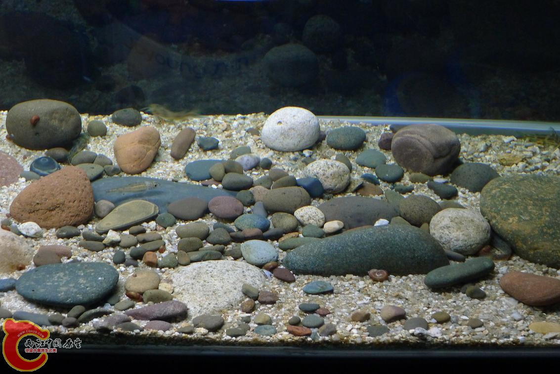 P1020492.JPG