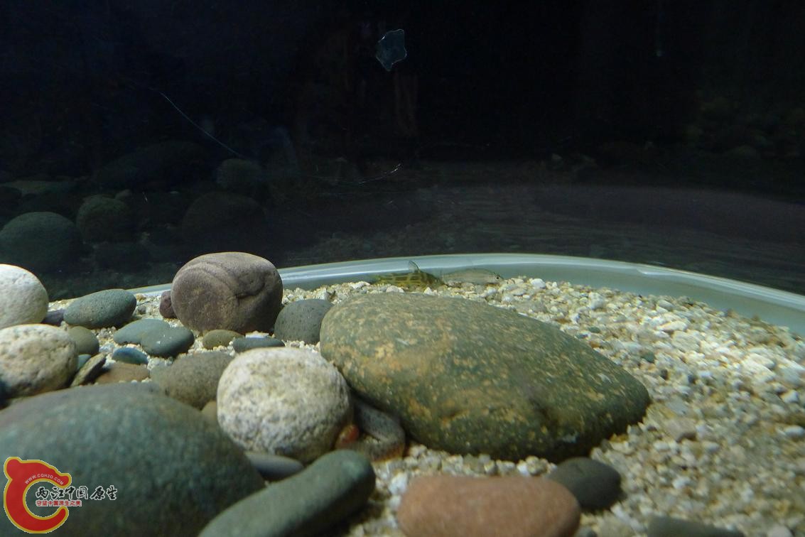 P1020497.JPG