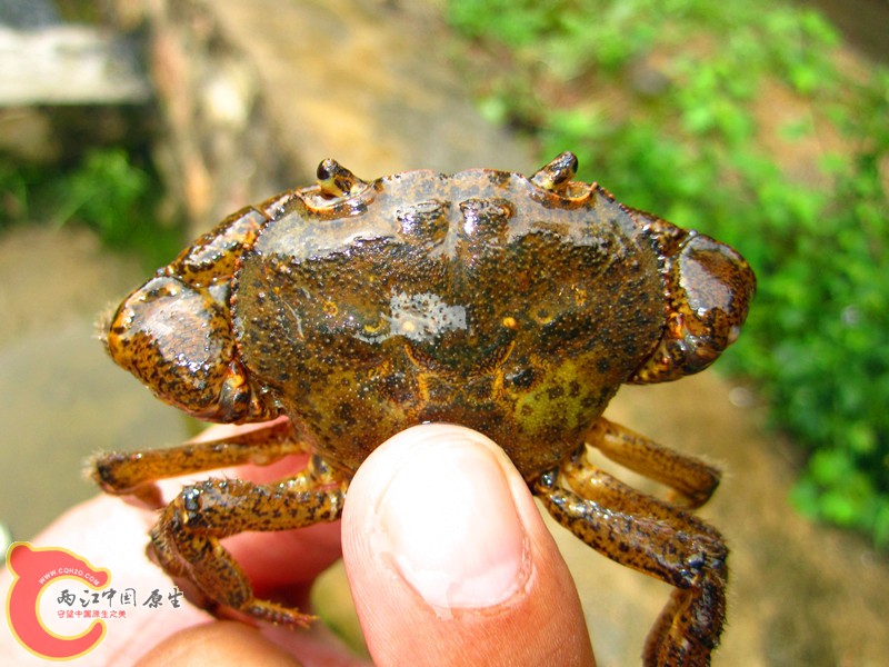 IMG_5474_副本.jpg