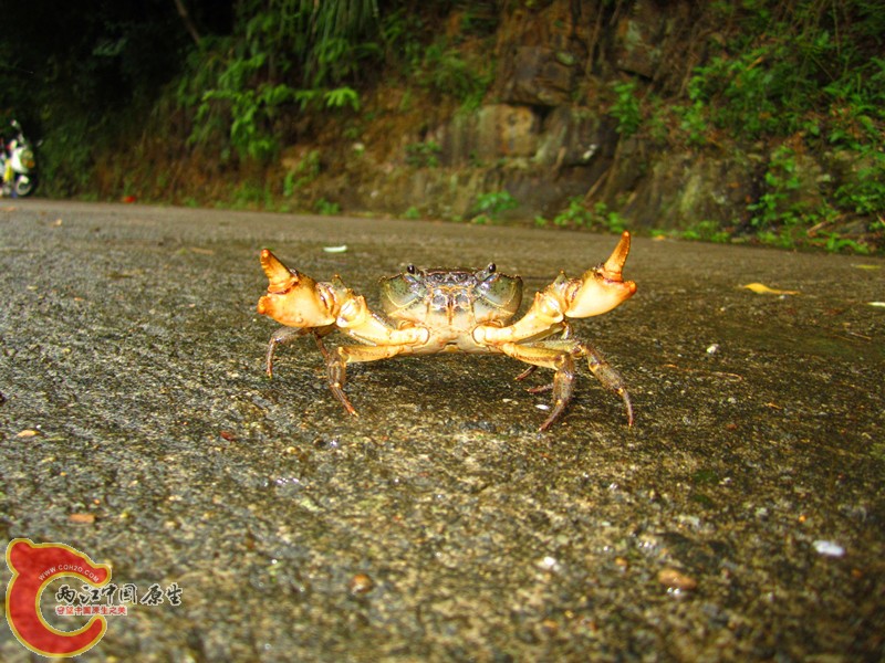 IMG_5482_副本.jpg