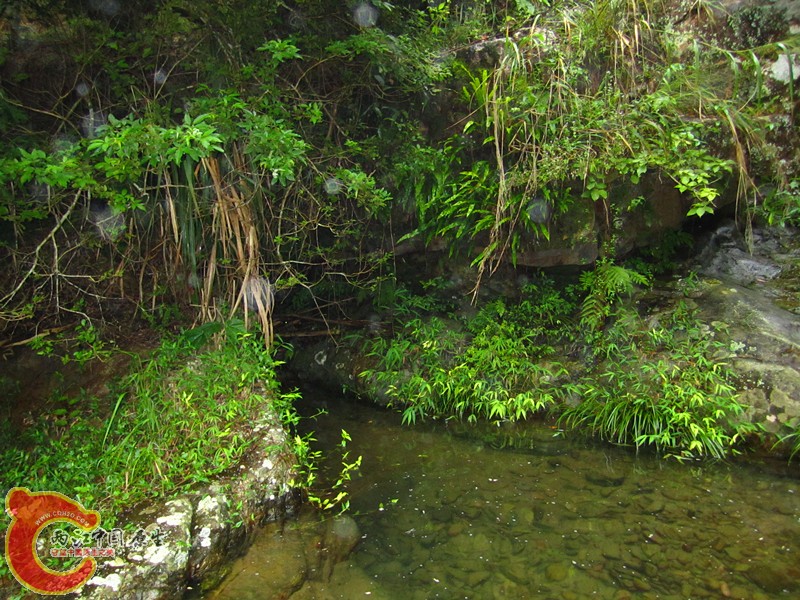 IMG_5486_副本.jpg