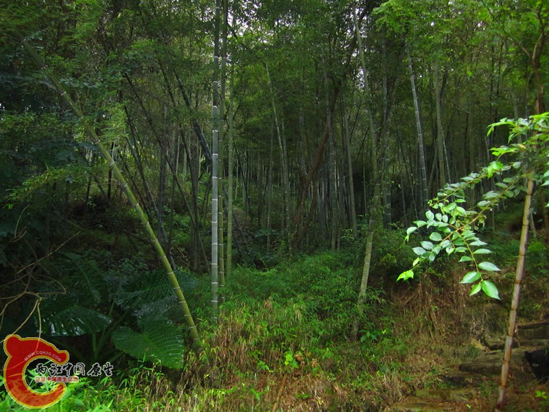 IMG_5495_副本.jpg