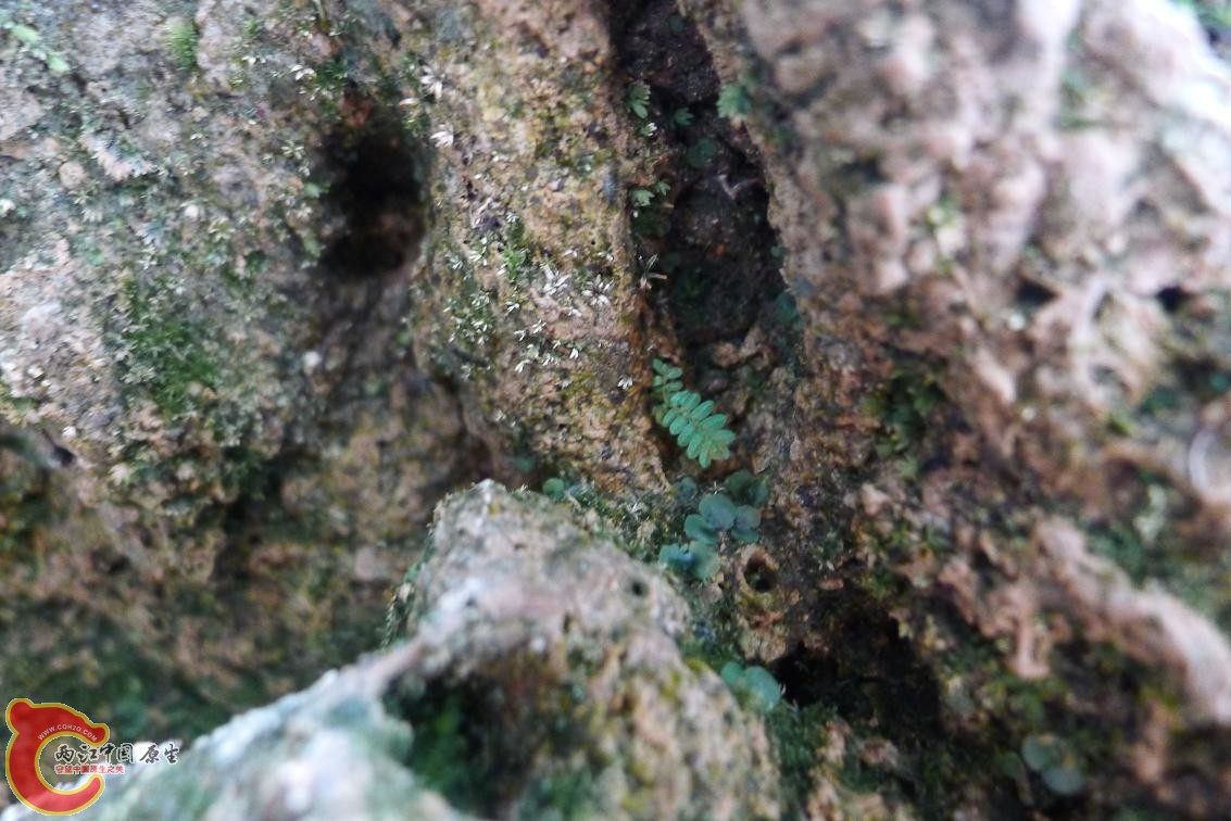 P1020791.JPG