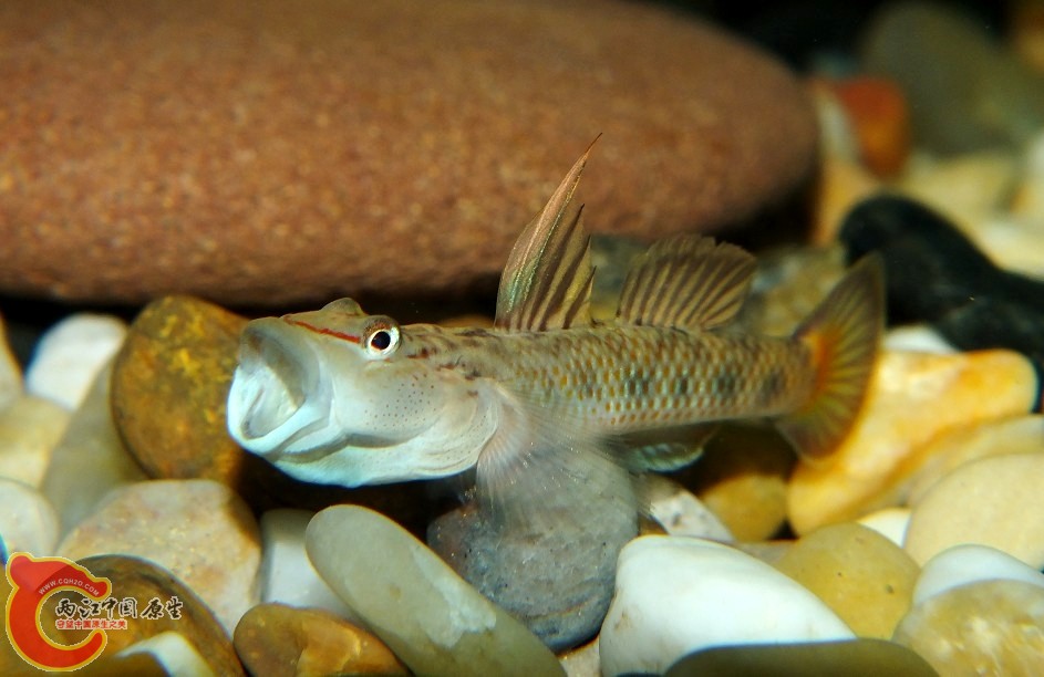 QQ截图20120829223135.jpg