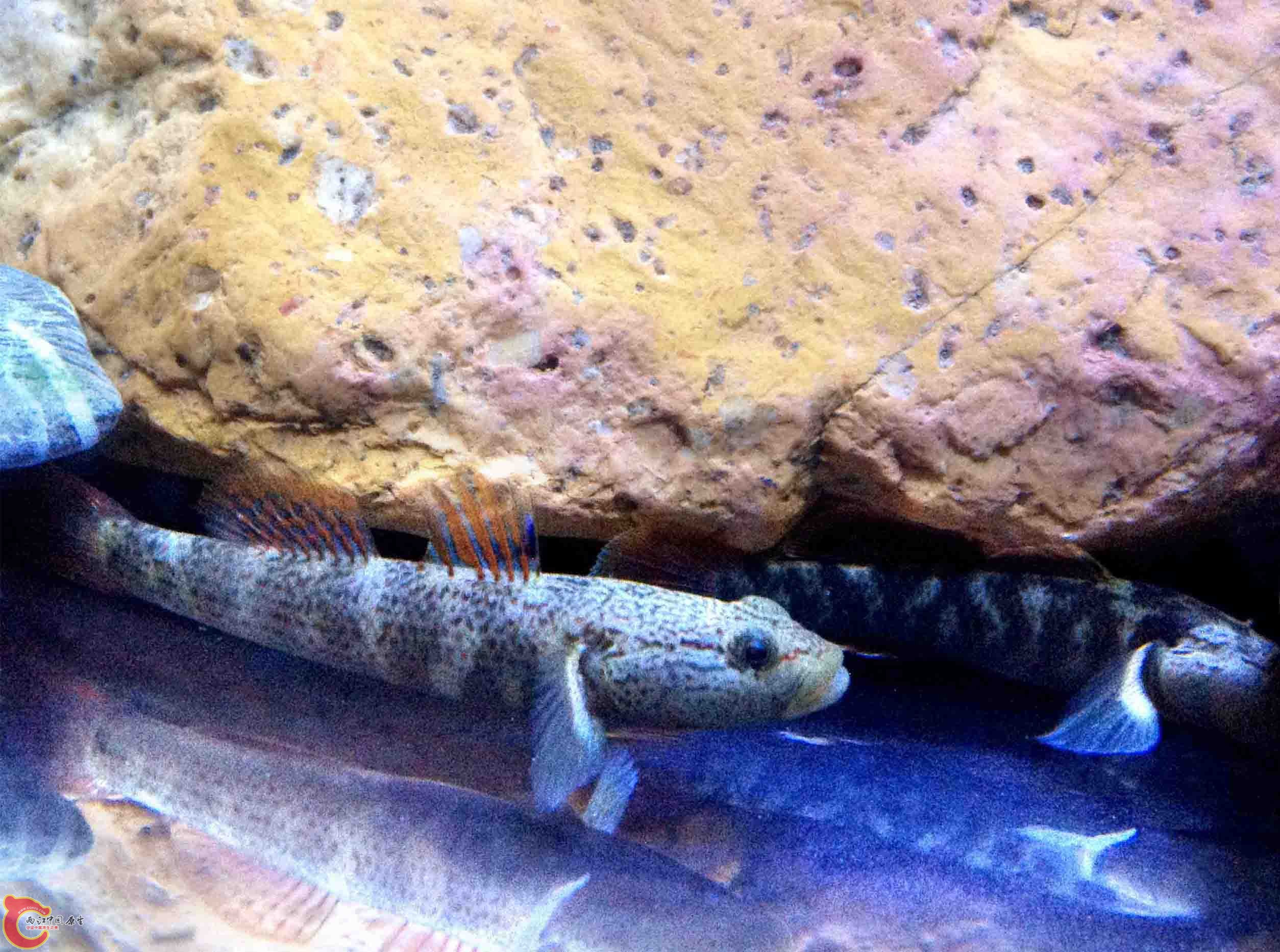 照片 182f.jpg