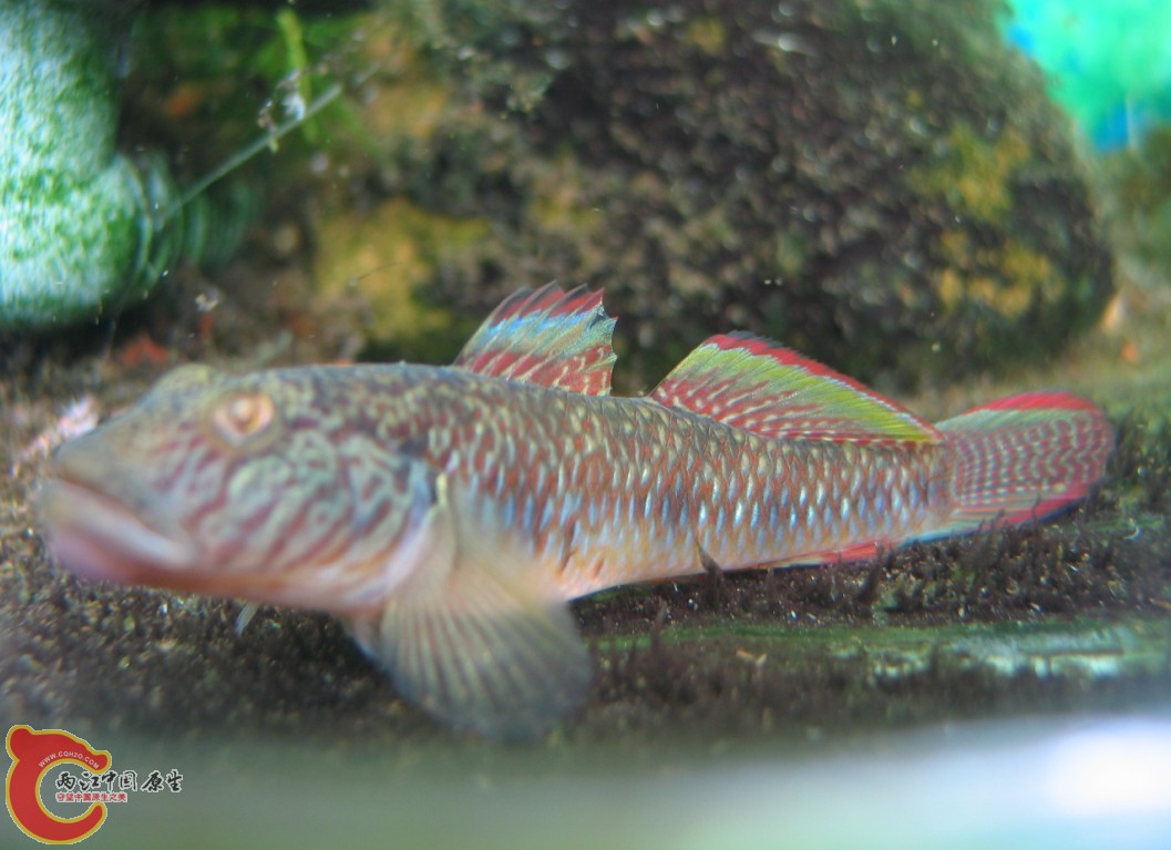 PPQ(}9C`P6XAVM~9T~([I.jpg